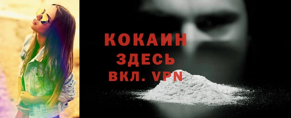 гашик Нея