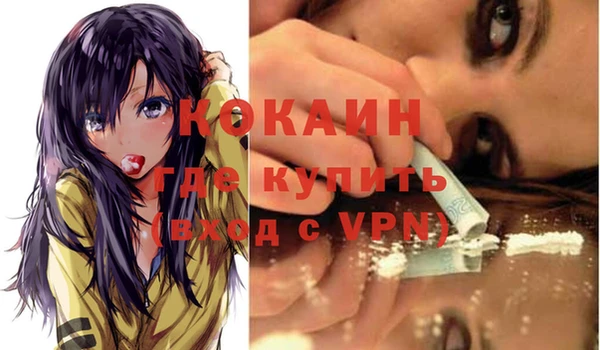 гашик Нея