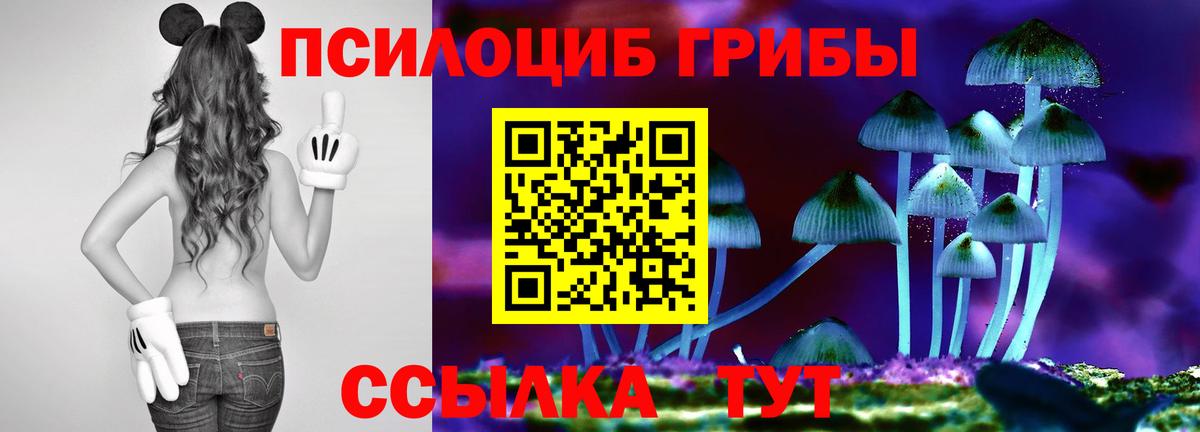 Псилоцибиновые грибы Psilocybine cubensis  закладка  Вход с VPN  Урюпинск  Галлюциногенные грибы MAGIC MUSHROOMS 